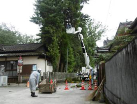 伐採作業の写真