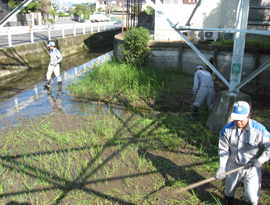 河川清掃ボランティアの様子