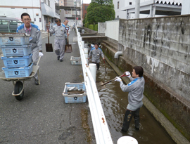 河川清掃ボランティアの様子