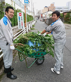 河川清掃ボランティアの様子