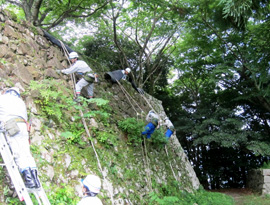 ロープを使っての石垣清掃の様子