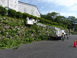 高所作業車を使っての石垣清掃の様子