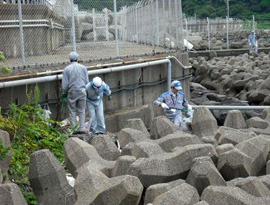 玄海原子力発電所周辺の海岸清掃ボランティアの様子