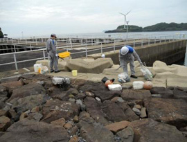 玄海原子力発電所周辺の海岸清掃ボランティアの様子