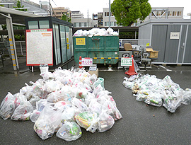 ふるさと美化活動の様子