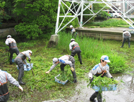 河川清掃ボランティアの様子