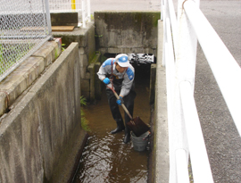 河川清掃ボランティアの様子