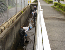 河川清掃ボランティアの様子