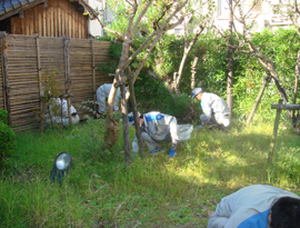 森鴎外旧居除草作業と屋内配線点検作業の様子