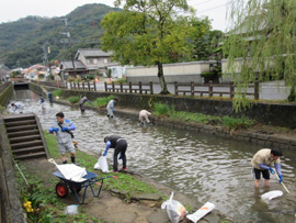 臼坪川清掃活動の様子