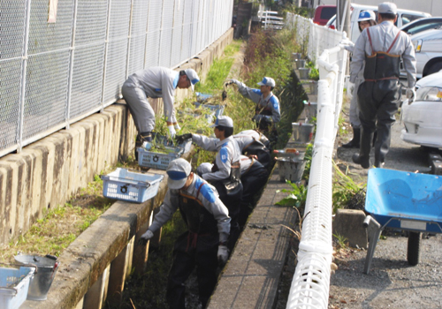 高木瀬変電所周辺の河川清掃ボランティア活動の様子