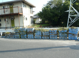 高木瀬変電所周辺の河川清掃ボランティア活動の様子