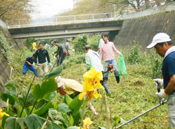 大在地区ボランティア除草作業の様子