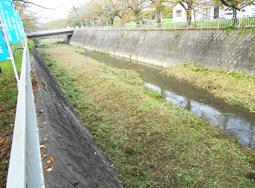 大在地区ボランティア除草作業の様子