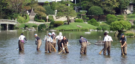 池の清掃