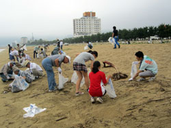 別府市海岸海浜清掃の様子