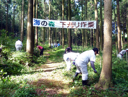 鹿島市「海の森」下刈り作業ボ ランティア参加