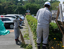 植込み剪定の写真