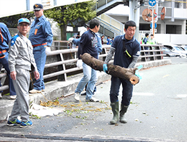 伐採した大きな木を運搬している写真