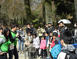 きゅうでんプレイフォレスト 2019 in 蛇ヶ谷公園の写真