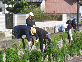 水路のつるを除去する写真