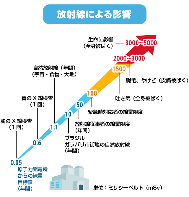 放射能による影響