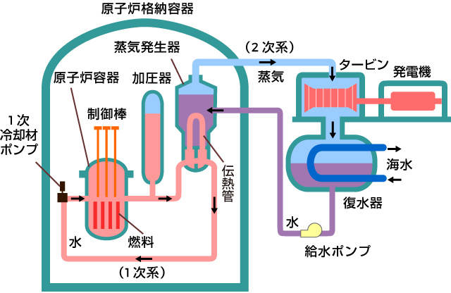 原子力発電のしくみ（PWR）説明図
