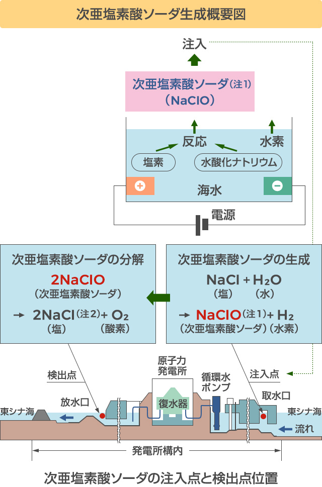 次亜塩素酸ソーダ生成概要図・次亜塩素酸ソーダの注入点と検出点位置