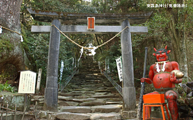 見て、遊んで、泊まって宮崎を元気に！のイメージ