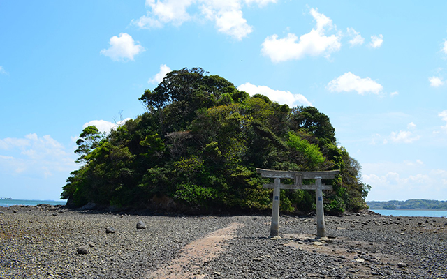 見て、遊んで、泊まって壱岐・対馬を元気に！のイメージ