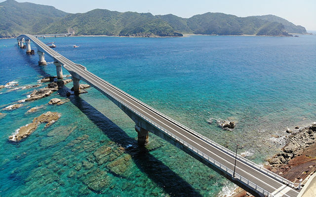 見て、遊んで、泊まって鹿児島を元気に！のイメージ