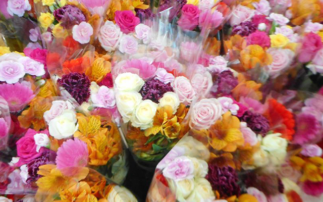 花の購入を通じて生産者の皆さんを支援する活動を実施しましたのイメージ