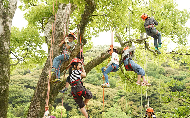 「きゅうでんプレイフォレスト 2019 in 山田緑地」を開催しました!!のイメージ