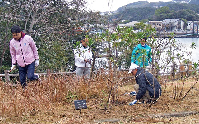 こらぼらQでん「西海国立公園内の長尾半島公園」の除草活動を行いましたのイメージ