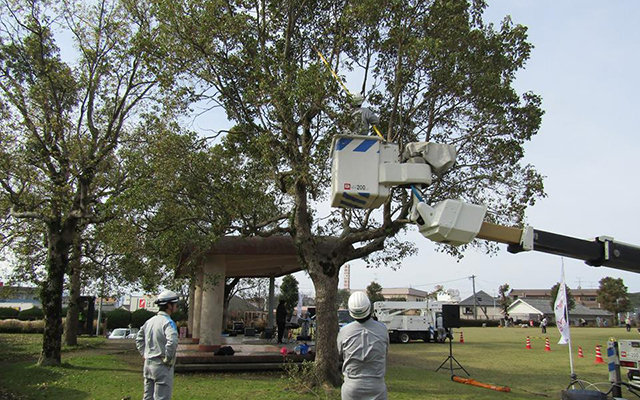 こらぼらQでんin小塚公園のイメージ