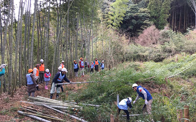 こらぼらQでん「里山で竹きり体験」を行いましたのイメージ