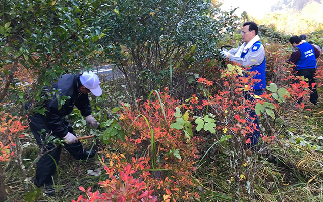 油木ダム 除草活動に参加しました!!のイメージ