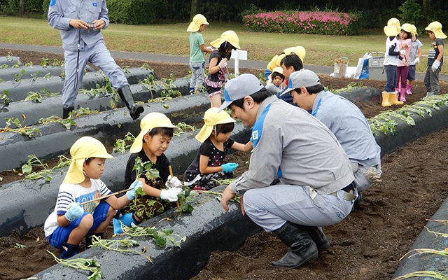 子どもたちとさつまいもの苗植えを行いましたのイメージ