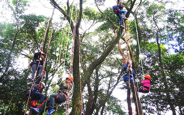 Play Forest 2017 in ながさき県民の森を開催しましたのイメージ