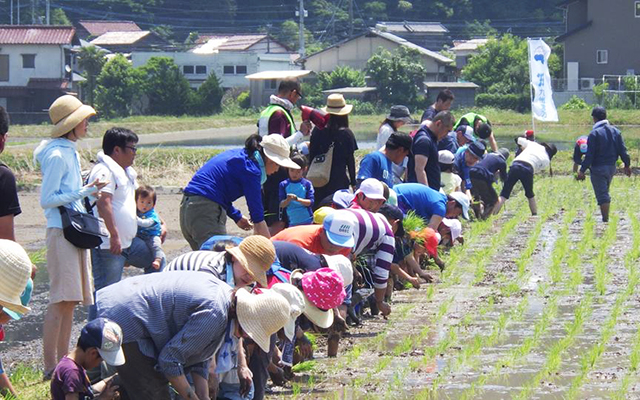 今年も始まりました米づくりのイメージ
