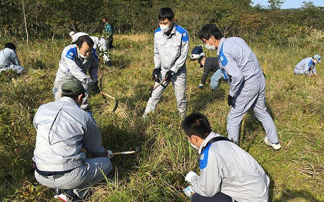 沖縄・奄美諸島の固有種「イジュ」の森の除草活動を行いましたのイメージ