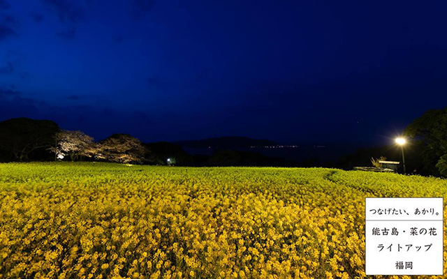 （18）能古島・菜の花ライトアップ＠福岡県のイメージ