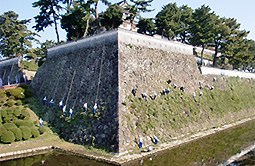 除草作業中