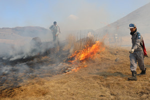 坊ガツル湿原での野焼きの写真