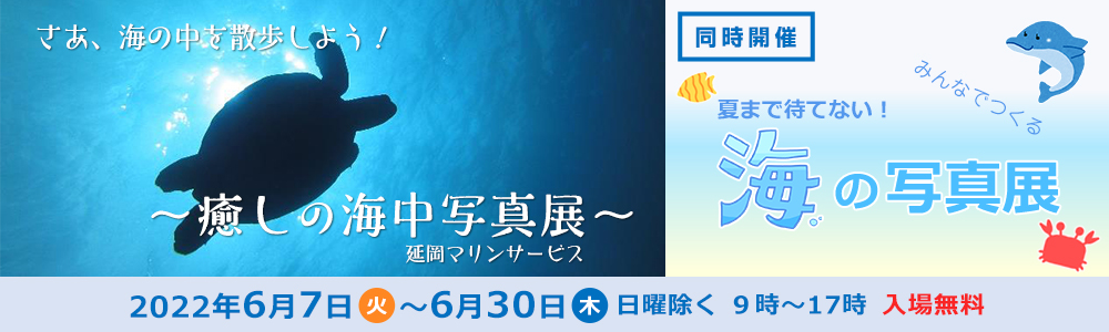 さあ、海の中を散歩しよう！癒しの海中写真展　延岡マリンサービス、同時開催　夏まで待てない！みんなでつくる　海の写真展、2022年６月７日（火曜日）～６月30日（木曜日）日曜除く、９時～17時、入場無料