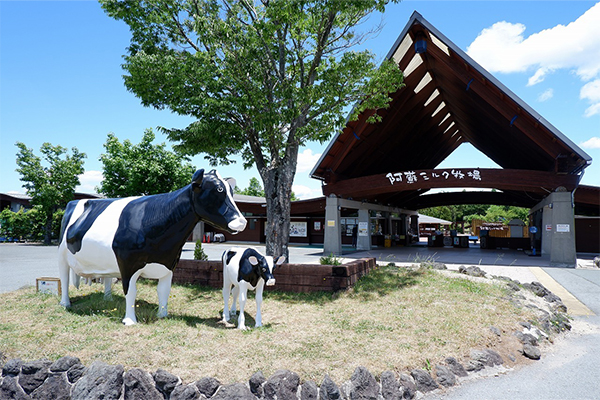 酪農体験施設　阿蘇ミルク牧場の写真