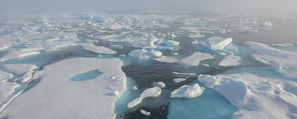 海氷の写真