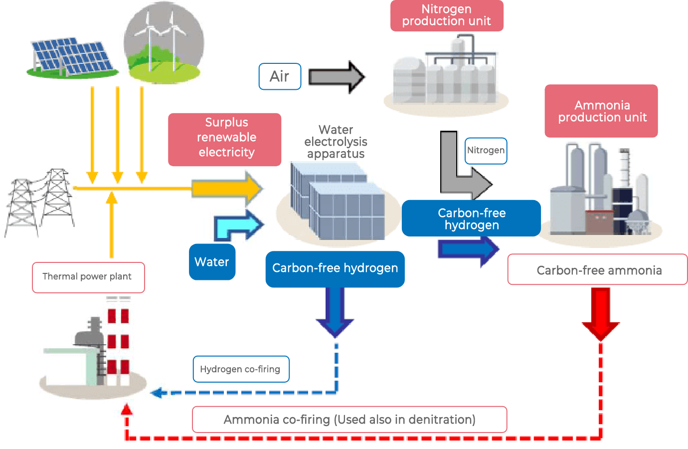 Hydrogen/Ammonia production and co-firing 