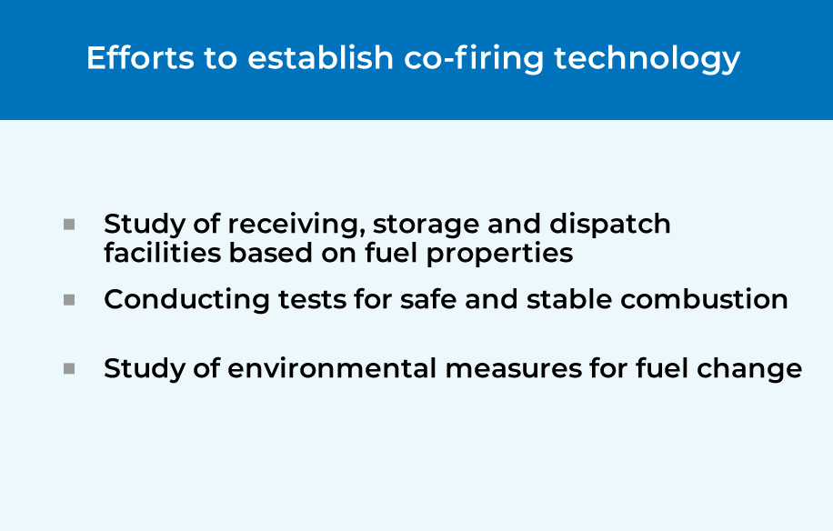 Efforts to establish co-firing technology