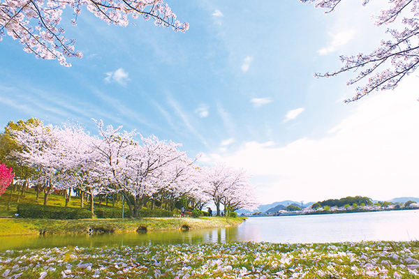 町内から望む絶景の大村湾の写真